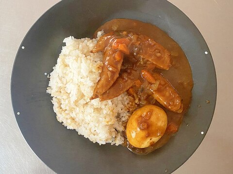 鶏手羽元肉のカレー